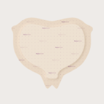 ميبليكس بوردر ساكروم Mepilex Border Sacrum 16x20cm